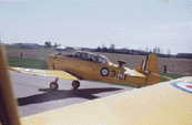 flyday05.gif